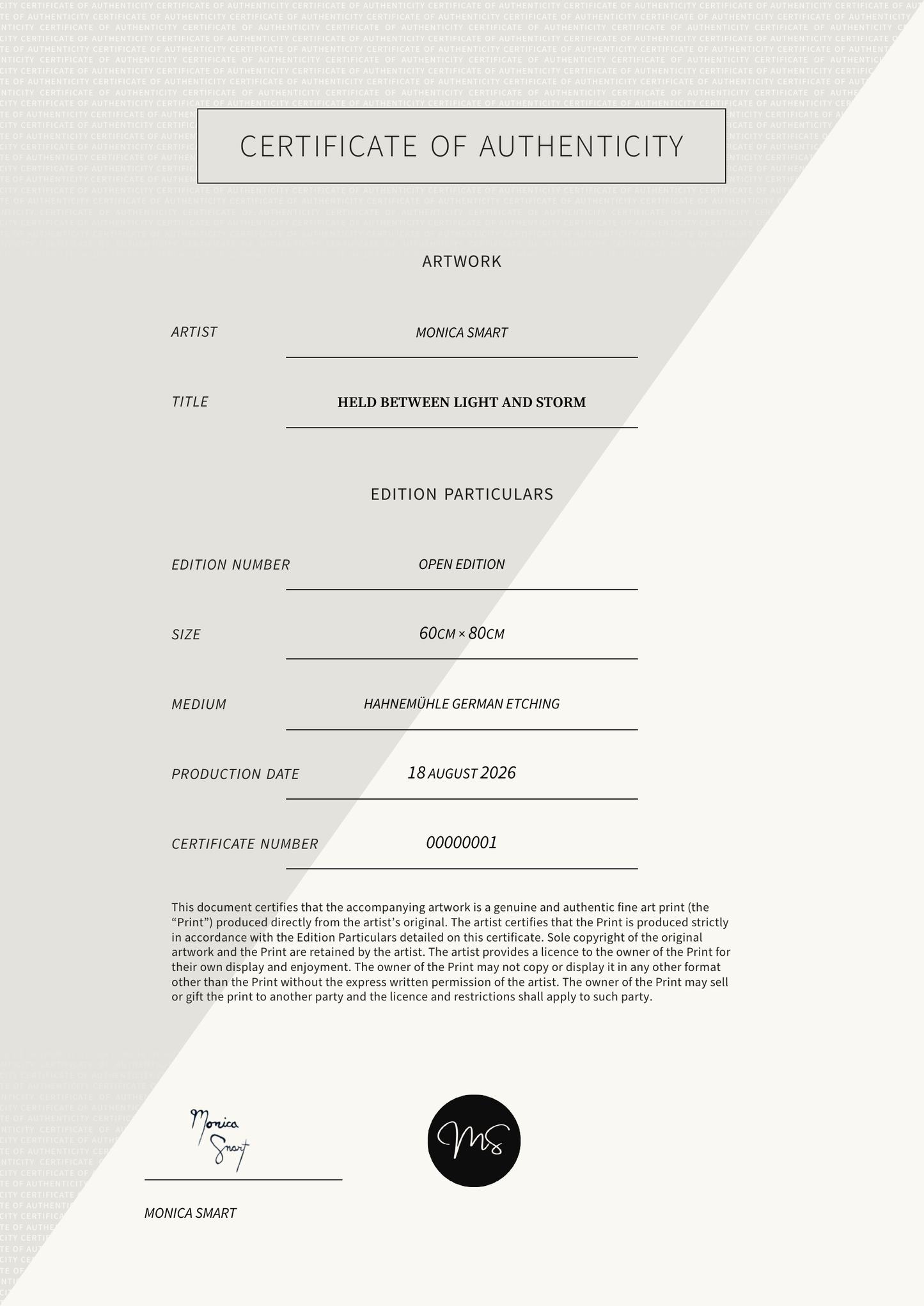 Held between light and storm — Certificate of Authenticity