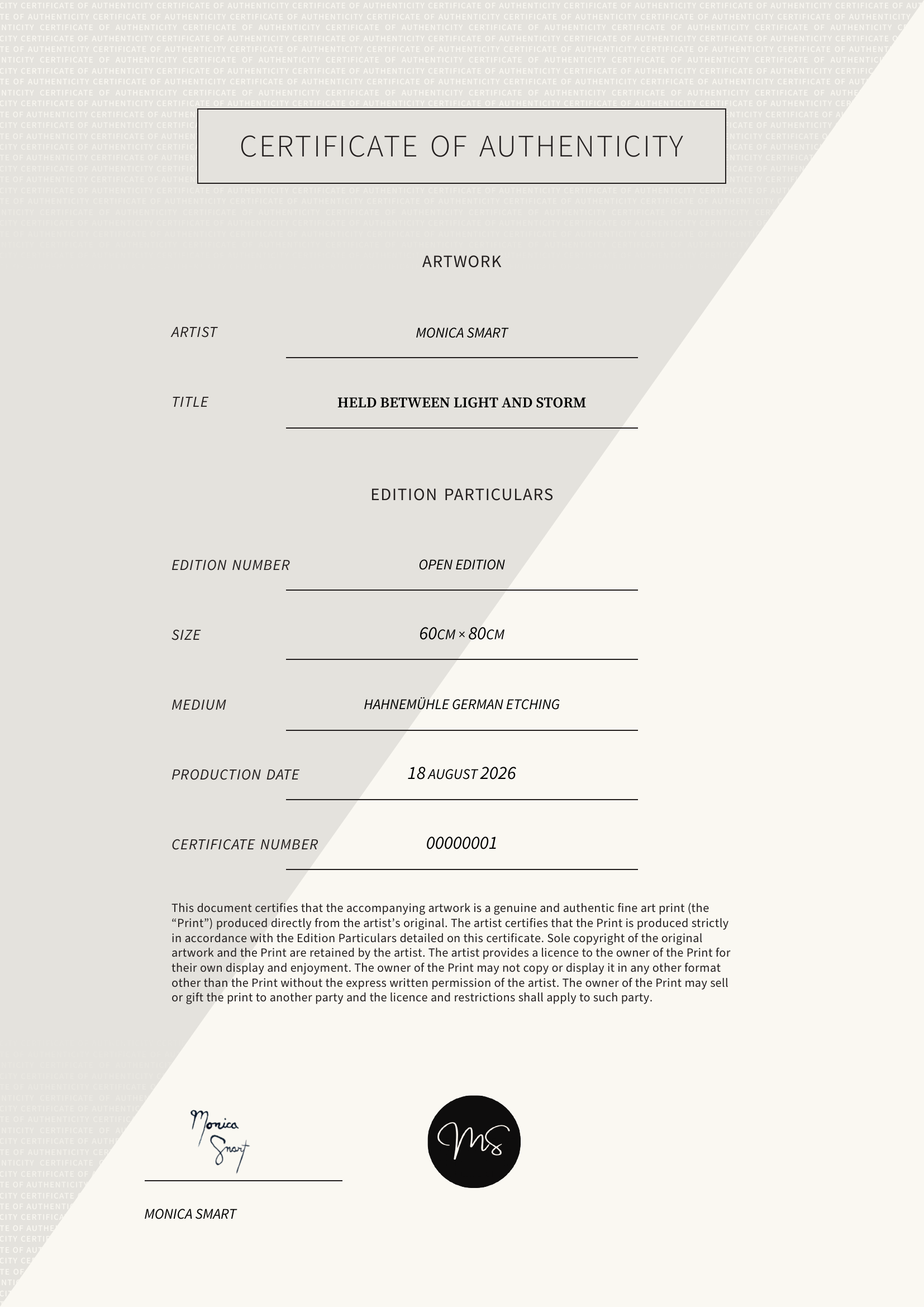 Held between light and storm — Certificate of Authenticity